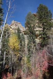 Trees and towers [sat oct 8 14:51:44 mdt 2016]